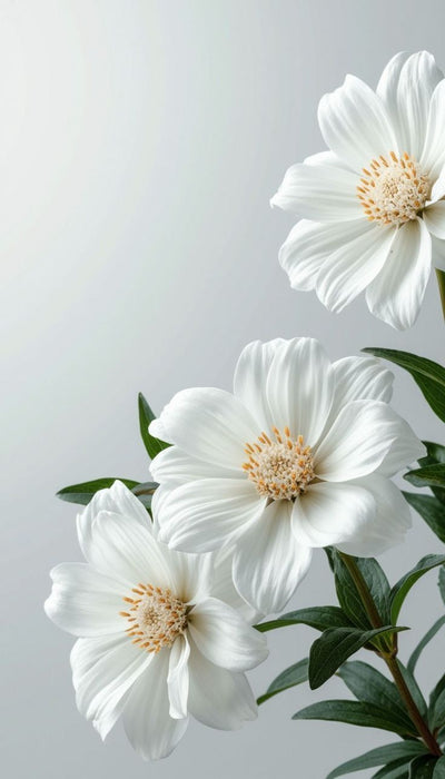 White Floral